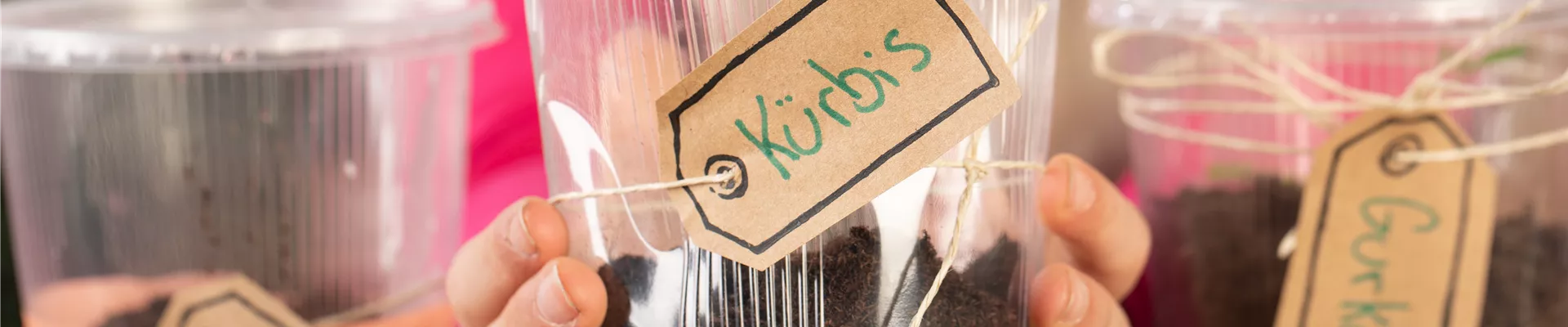 Mini-Gewächshaus Mini-Gewächshaus