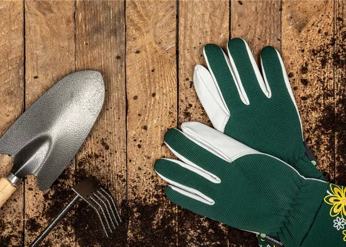 Rechtzeitig für das kommende Gartenjahr den Garten vorbereiten Rechtzeitig für das kommende Gartenjahr den Garten vorbereiten