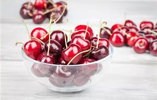 Die Früchte des Gartens gut verarbeiten Die Früchte des Gartens gut verarbeiten