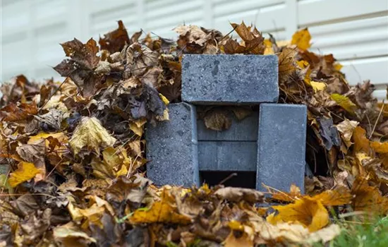 Das Igelhaus – Unterschlupf für stachelige Spürnasen