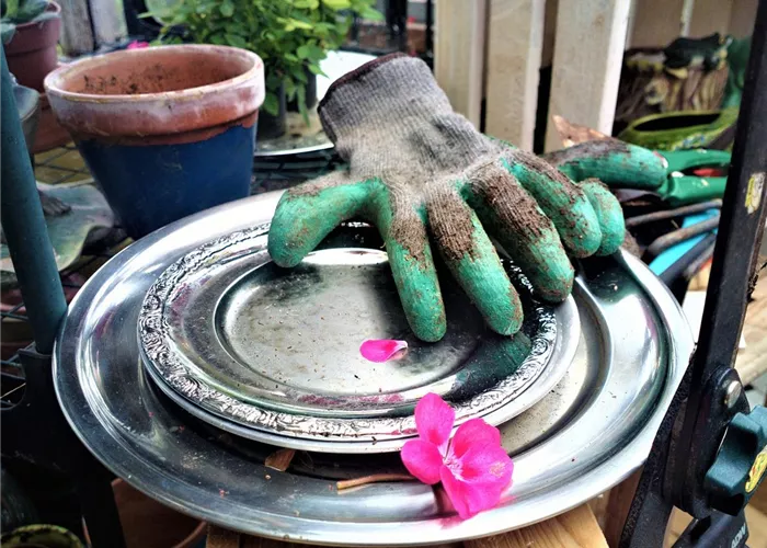 Mitarbeiter/-in mit grünem Daumen gesucht Mitarbeiter/-in mit grünem Daumen gesucht