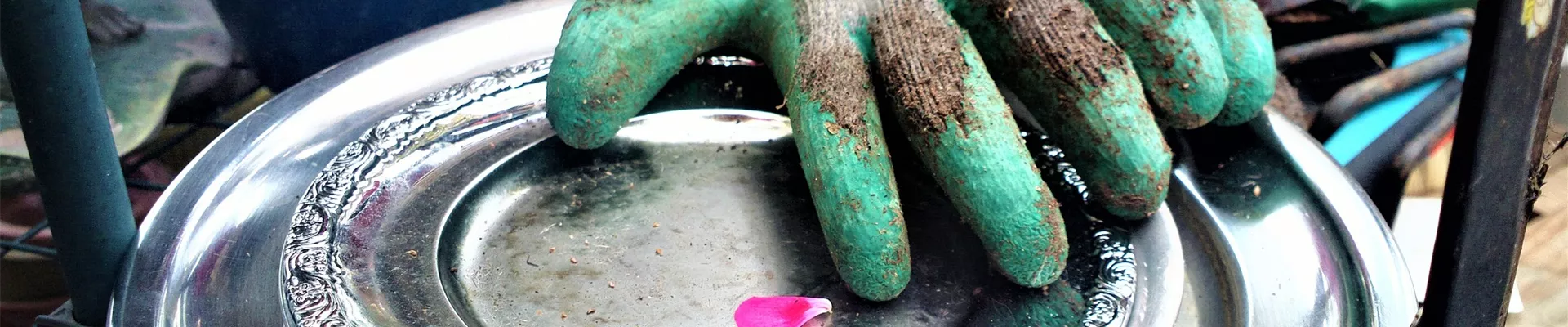 garden-g10c335936_1920 garden-g10c335936_1920