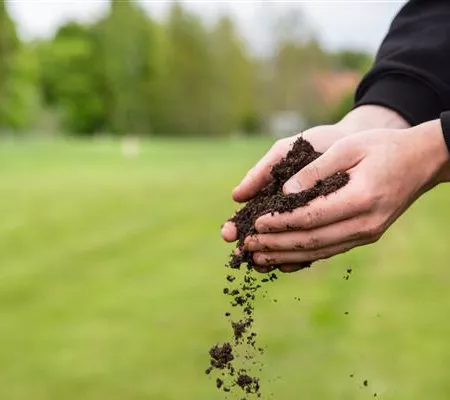 Der Gartenboden: Bodenarten und was sie bedeuten