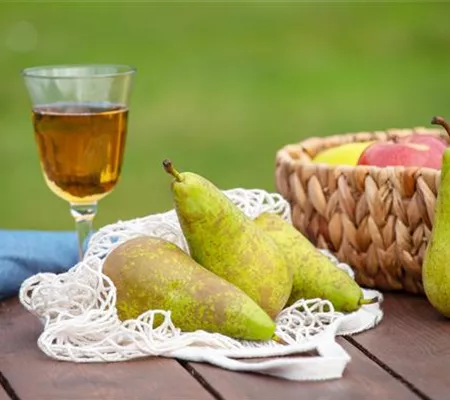 Birnen aus dem eigenen Garten genießen Birnen aus dem eigenen Garten genießen