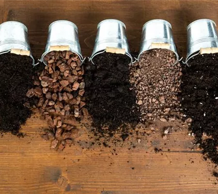 Die passende Erde für die Lieblingspflanzen in Haus und Garten