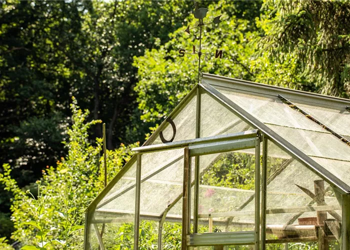 Kleine Gewächshäuser für kleine Gärten Kleine Gewächshäuser für kleine Gärten