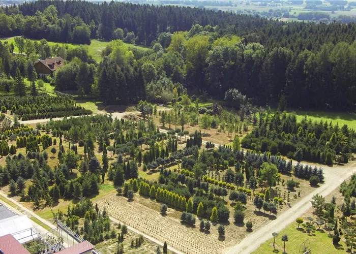 Bildergalerie Bildergalerie