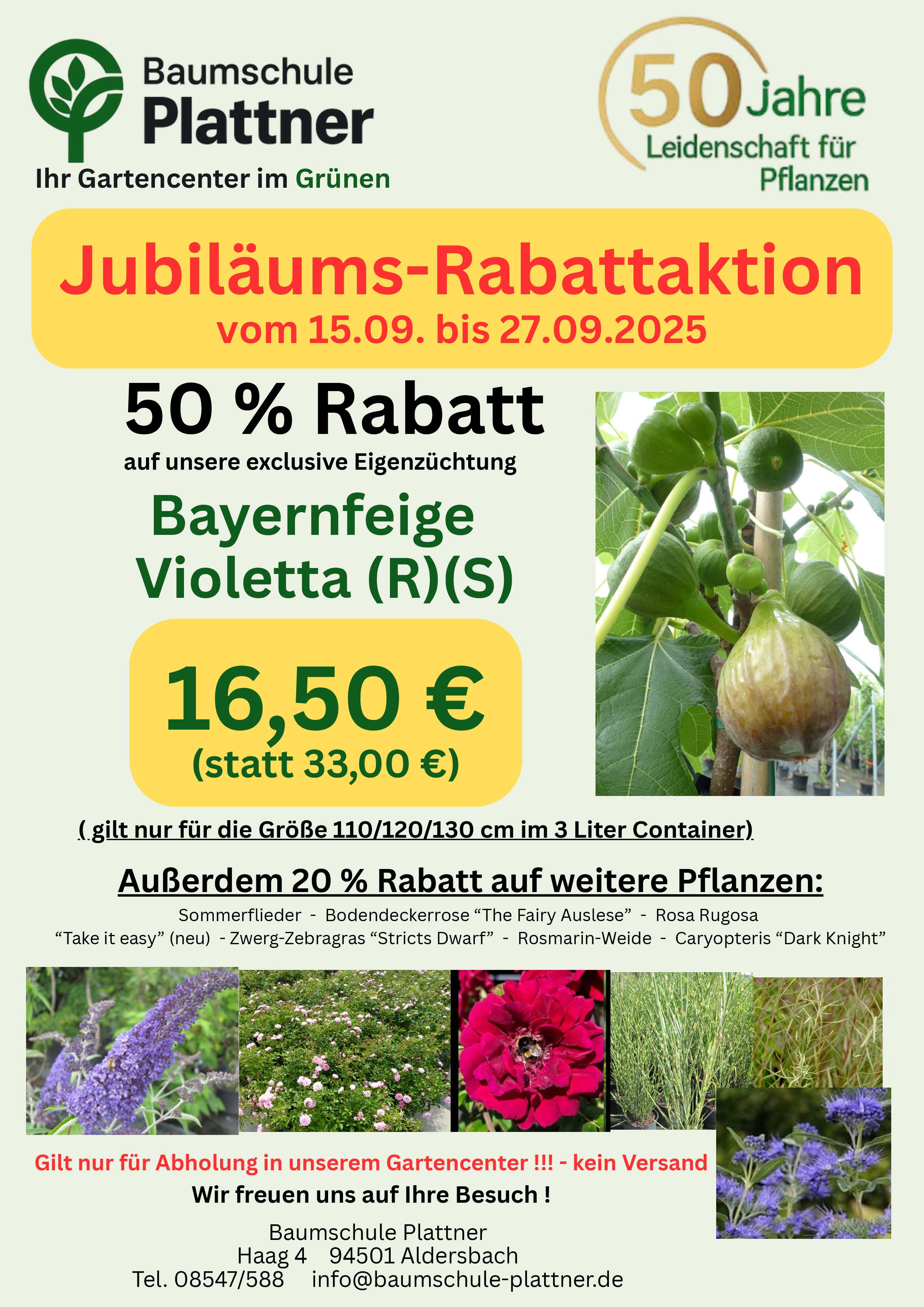 Jubiläumsverkauf 50 Jahre - 50 % (7).jpg