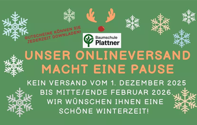 Kein Onlineversand (1).jpg