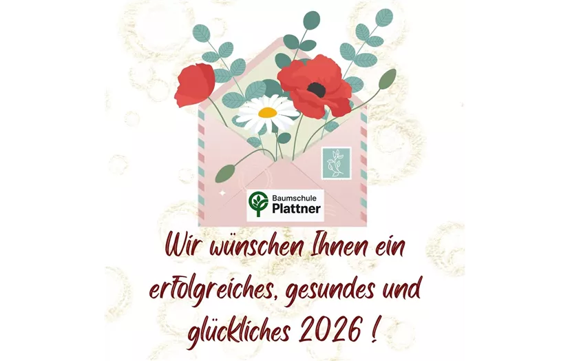 Wir wünschen ein erfolgreiches, gesundes und glückliches 2026 !.jpg