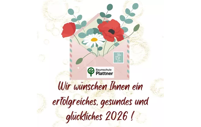 Wir wünschen ein erfolgreiches, gesundes und glückliches 2026 !.jpg