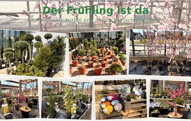 Homepage Frühling 2026.png