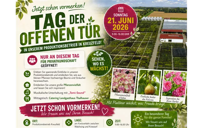 Tag der offenen Tür Flyer.png
