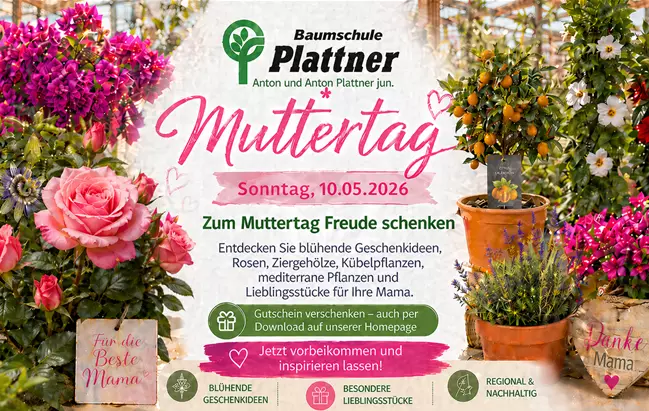 Muttertagsanzeige 2026.png