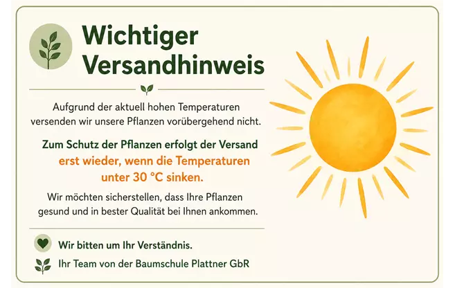 ChatGPT Image 22. Juni 2026, 09_10_03.png