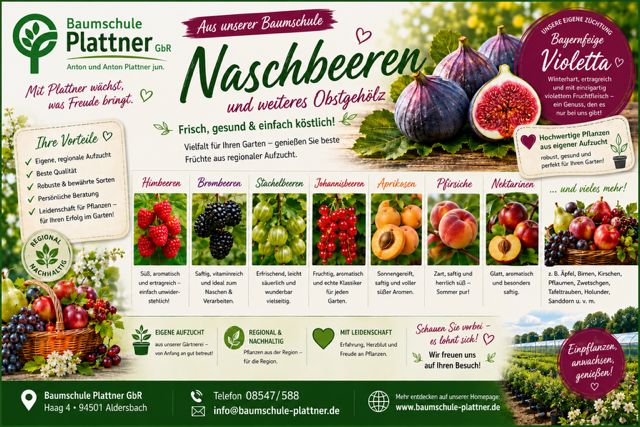 Naschbeeren.PNG