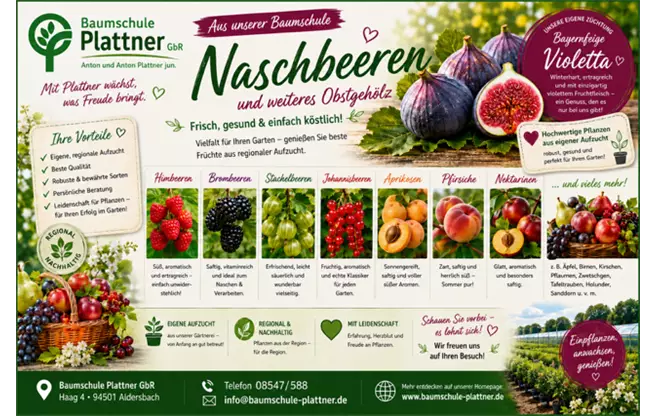 Naschbeeren.PNG