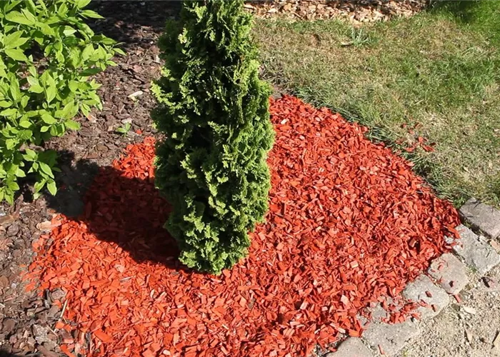 Mulch - Einsatz im Garten Mulch - Einsatz im Garten