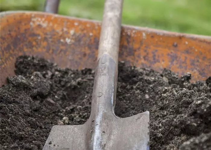 Gartenwerkzeuge Gartenwerkzeuge