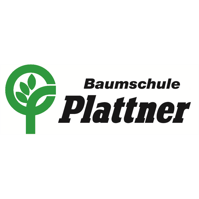 Anita Plattner Anita Plattner