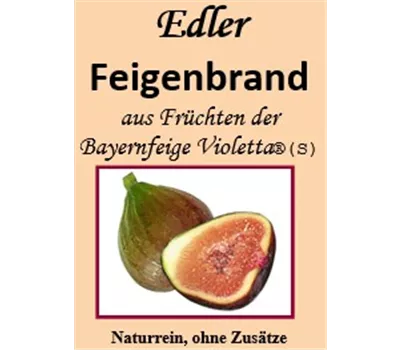 Feigenbrand Feigenbrand