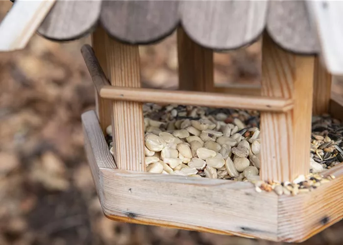 Vogelhäuser und -bäder Vogelhäuser und -bäder