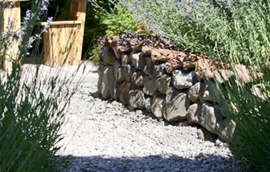 Mauern, Zäune und Hecken – mehr als nur Grenzen  Mauern, Zäune und Hecken – mehr als nur Grenzen