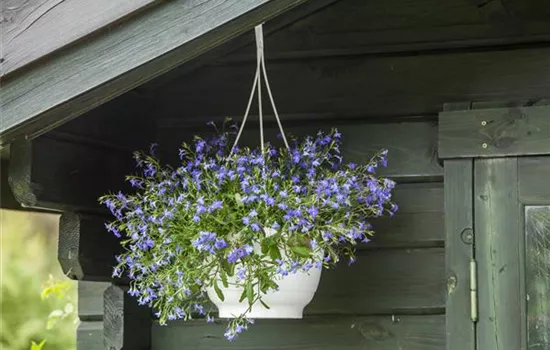 Einen Fahrradschuppen selbst bauen Einen Fahrradschuppen selbst bauen