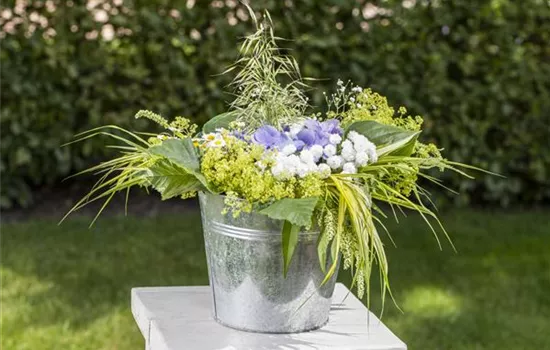 Was passiert eigentlich in der Blumenvase? Was passiert eigentlich in der Blumenvase?