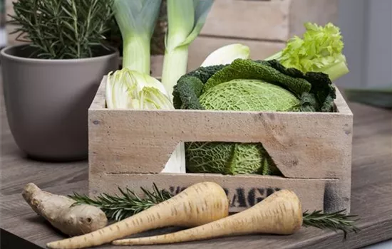 Das große Comeback der alten Gemüse-Sorten! Das große Comeback der alten Gemüse-Sorten!