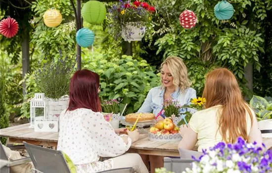 Feiern unter freiem Himmel: die besten Feste im Sommergarten Feiern unter freiem Himmel: die besten Feste im Sommergarten